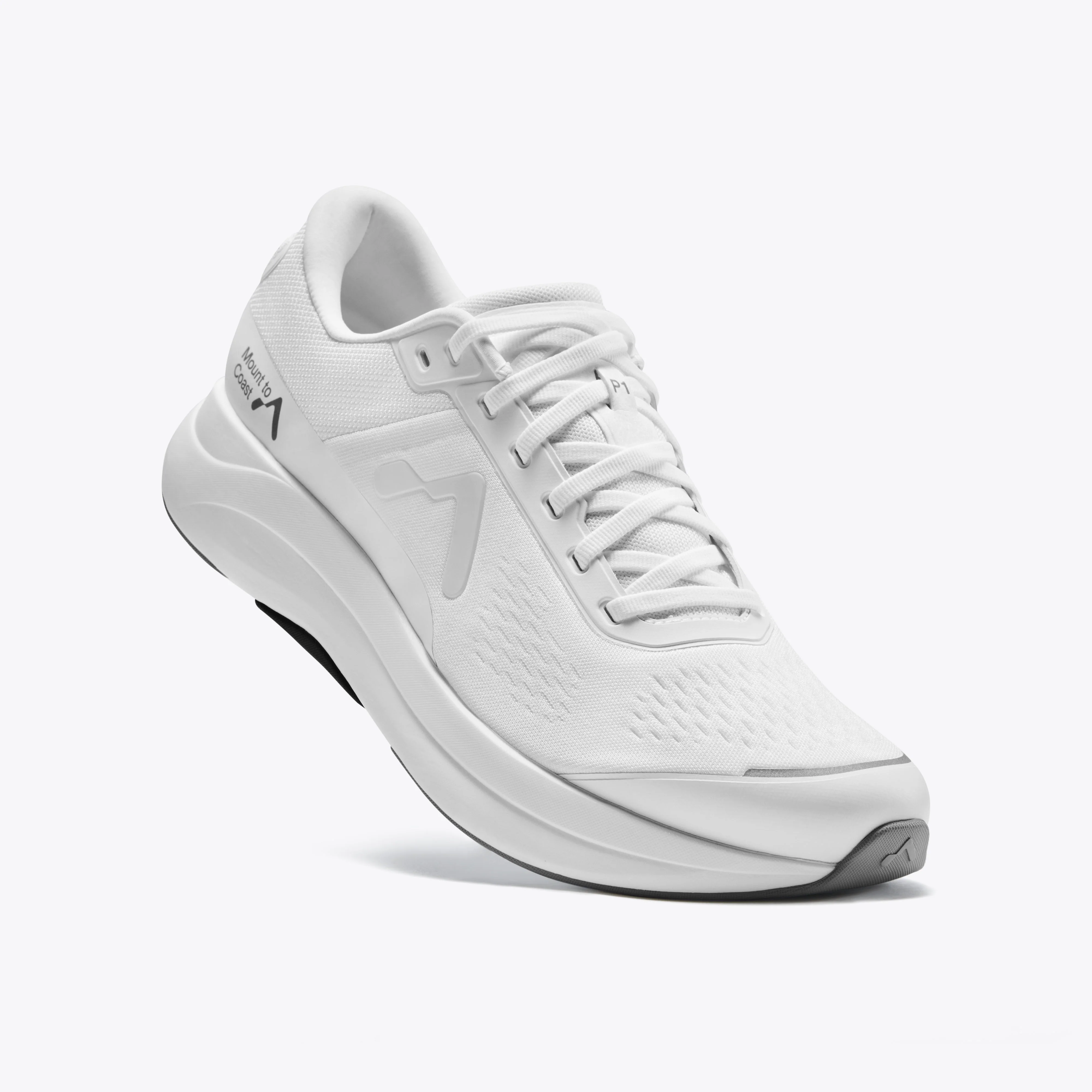P1 - Image 7